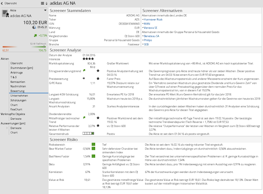 AS_assessment_theScreener_DE.png